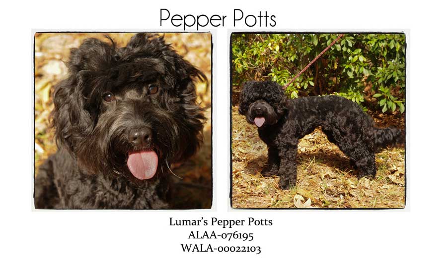 Pepper Potts
