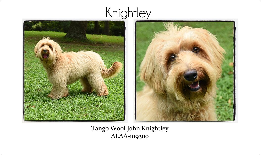 Knightley