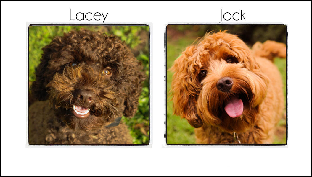 Lacey & Jack {late 2021}