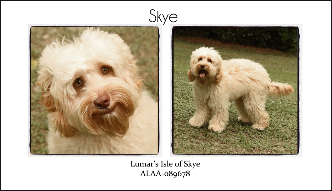 Skye