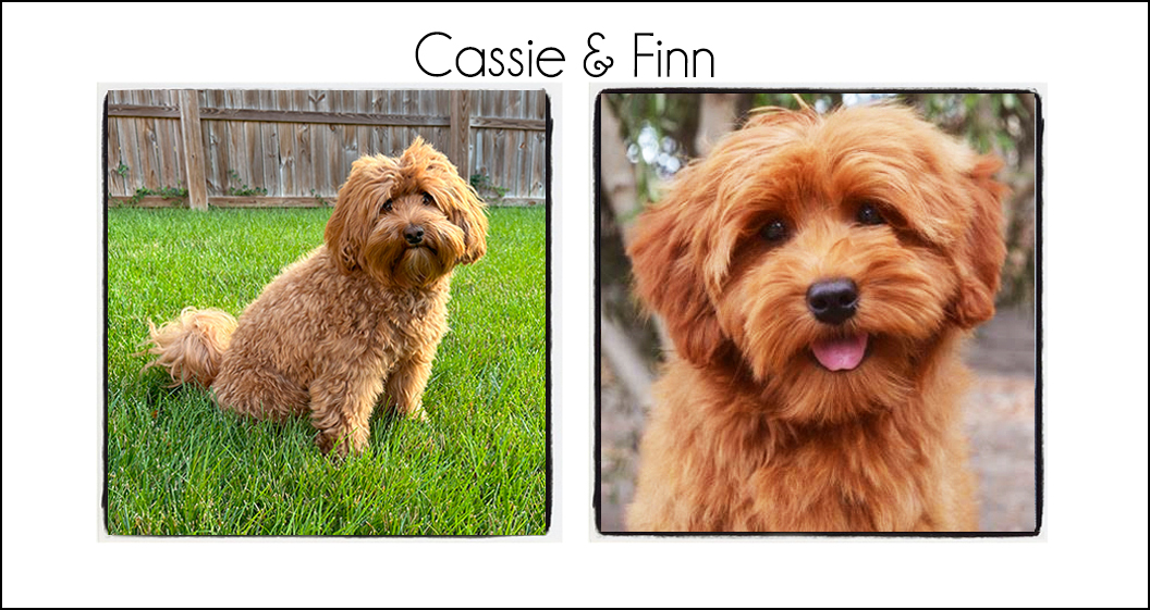 Cassie & Finn {2024}