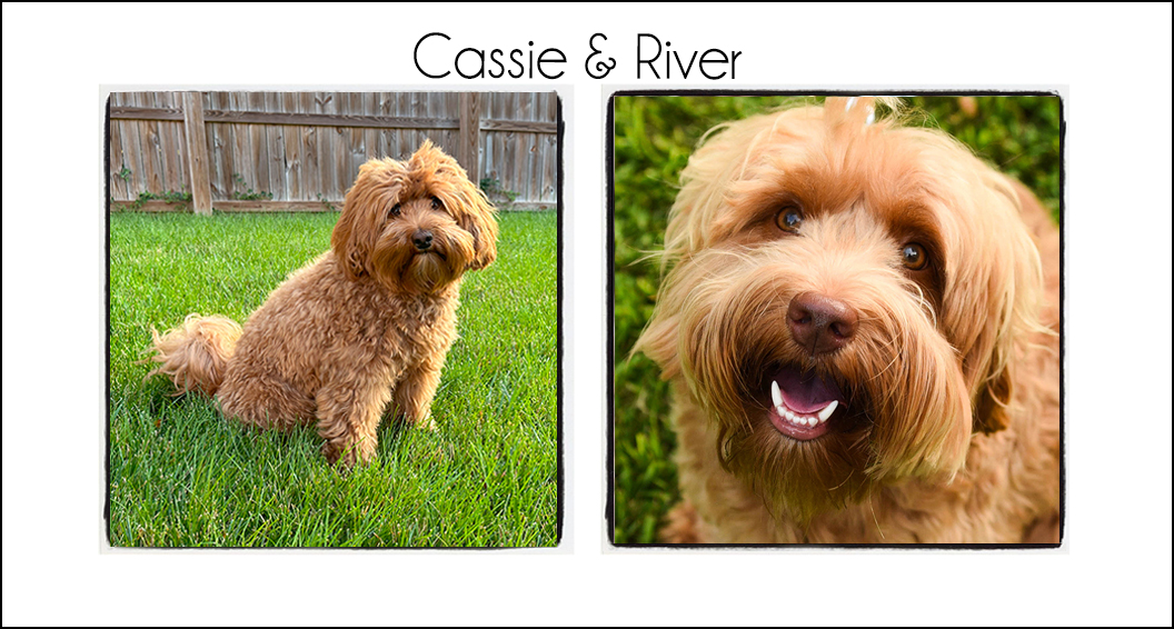 Cassie & River