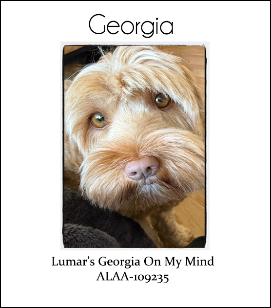 Georgia