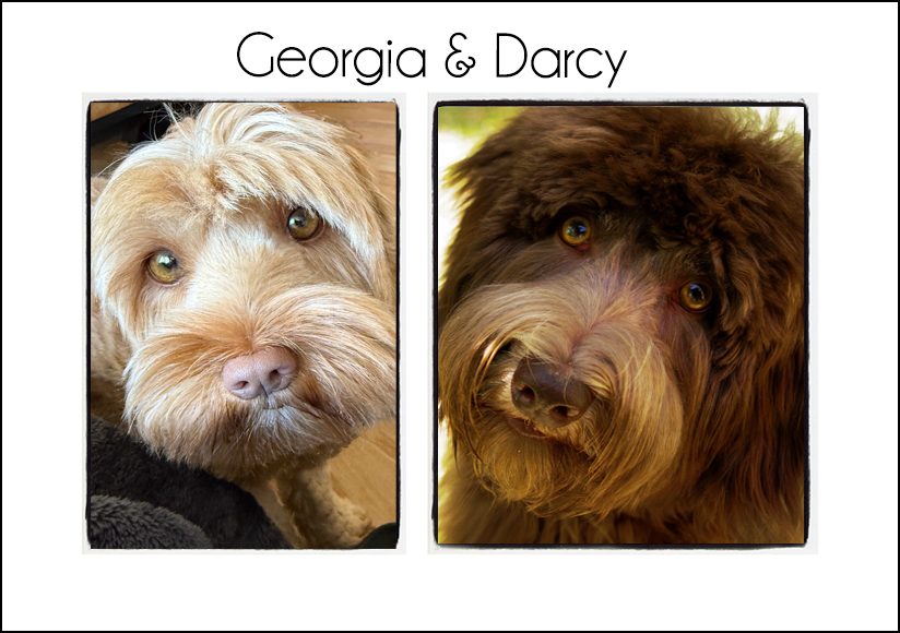 Georgia & Darcy