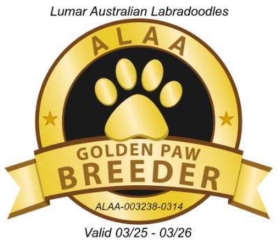 Lumar GOLDEN PAW 2025